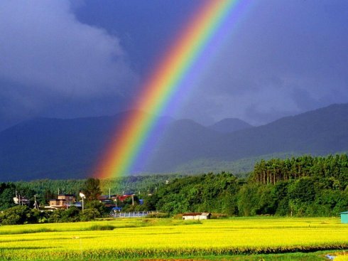 当阳光透过雨滴照耀