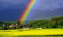 当阳光穿过雨滴