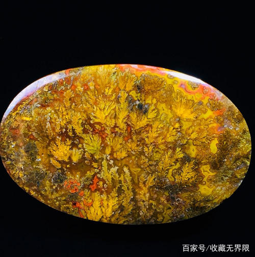 大自然的恩赐
