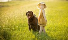 有趣的动物朋友