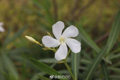 永恒的友谊