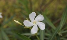 永恒不变的友情