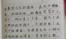 冬天的雪作文300字