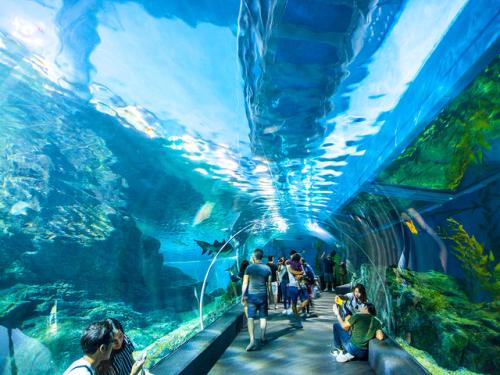 水族馆半日游