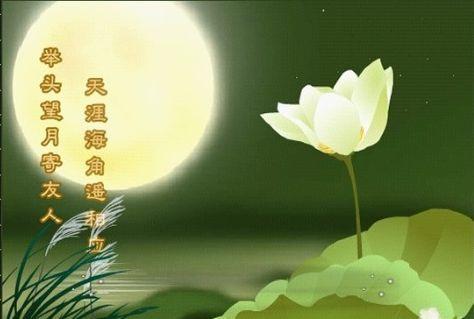 珍惜和把握