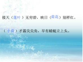 写一个赞美莲花的作文