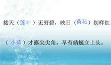 写一篇赞美荷花的作文