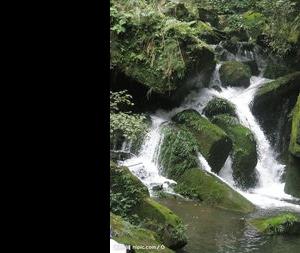 我眼中的小河