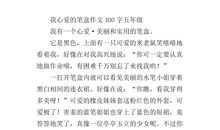 我的心爱之物400字作文