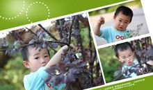 我的童年我的梦