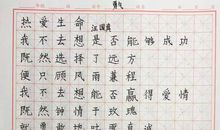 热爱生命的杨医生