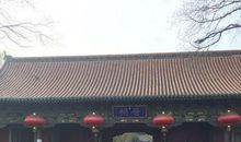 行走在凄冷的大街