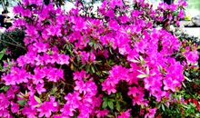 我生活在温暖之中