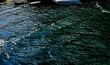 这里的风光独好