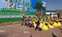 舞蹈班的植树节