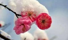 一次不平常的经历