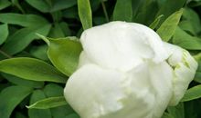 谢谢让我遇见你