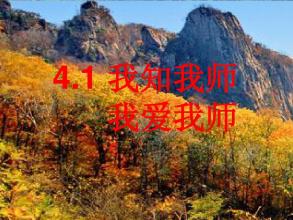 我爱我的老师