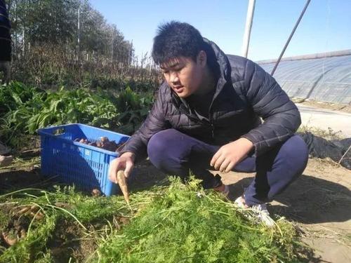 劳动是收获的前提