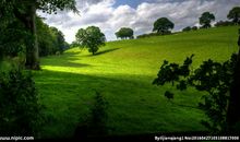 我爱春天的校园