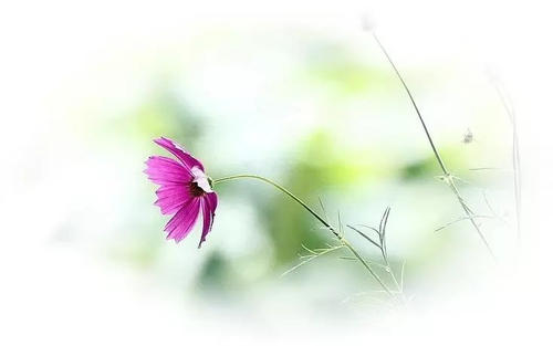 年·时·爱