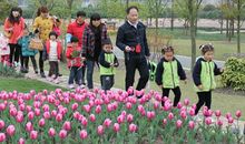 记一次春游活动