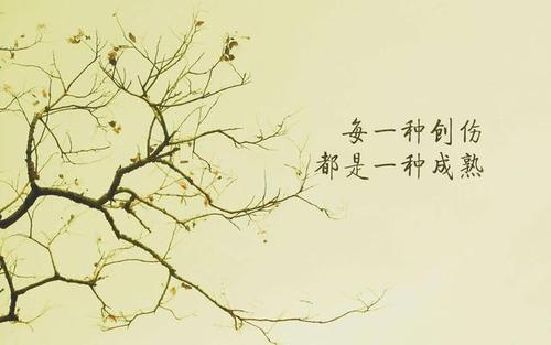思念也是一种美
