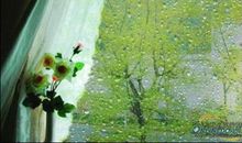 那天雨一直在下