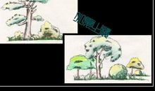 牵动心灵的那棵松树