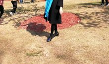 樱花树下的回忆