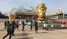 野生动物园一日游