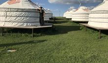 瞧我们一大家子