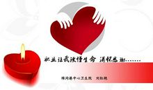 我的选择我无悔