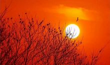 母爱是一种财富