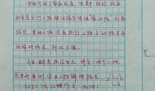 我家是小小动物园作文