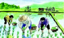 记忆深处的那句话