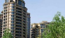 用爱创造的一星期