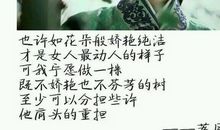 把那些年炼成诗