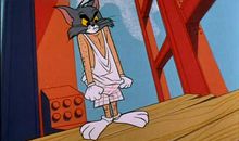 我和杰瑞过一天