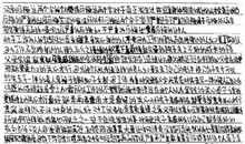 我的植物朋友作文三年级300字