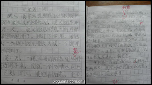 初中周感想
