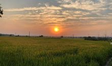 家乡的一年四季