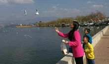 我想拥抱碧水蓝天