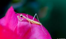 一个新的生命诞生了