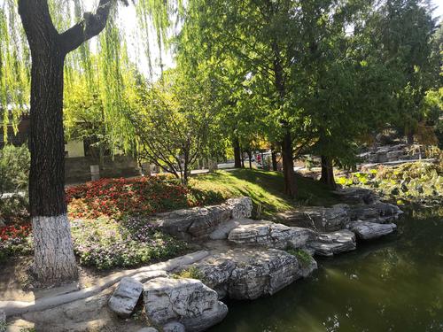 中山公园秋季游