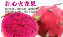 我爱火龙果