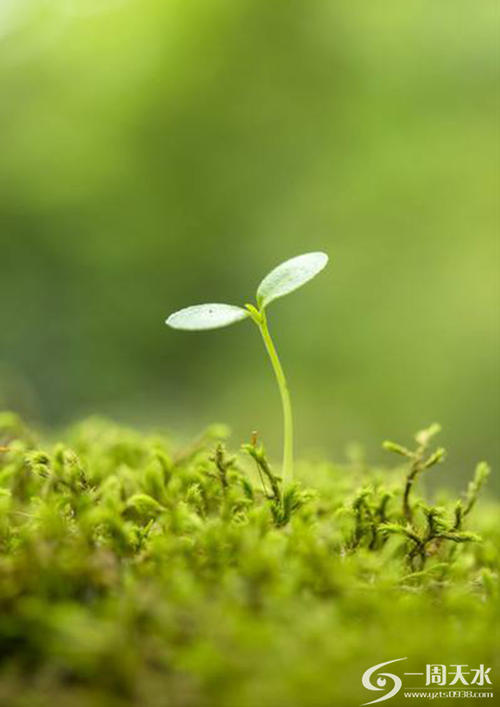 感觉到草