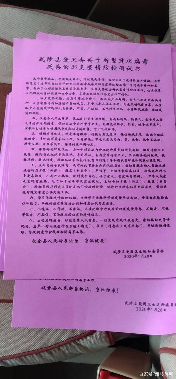 新型冠状病毒性肺炎的提案
