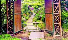 没有围墙的花园读后感