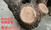 一个树墩的自述